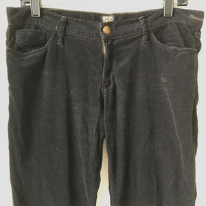 Goldsign Black Boot Cut Low Rise Corduroys